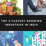 Fastest Growing Industry In India