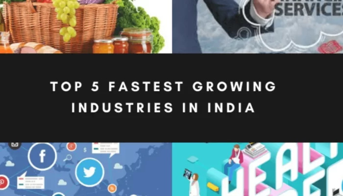 Fastest Growing Industry In India
